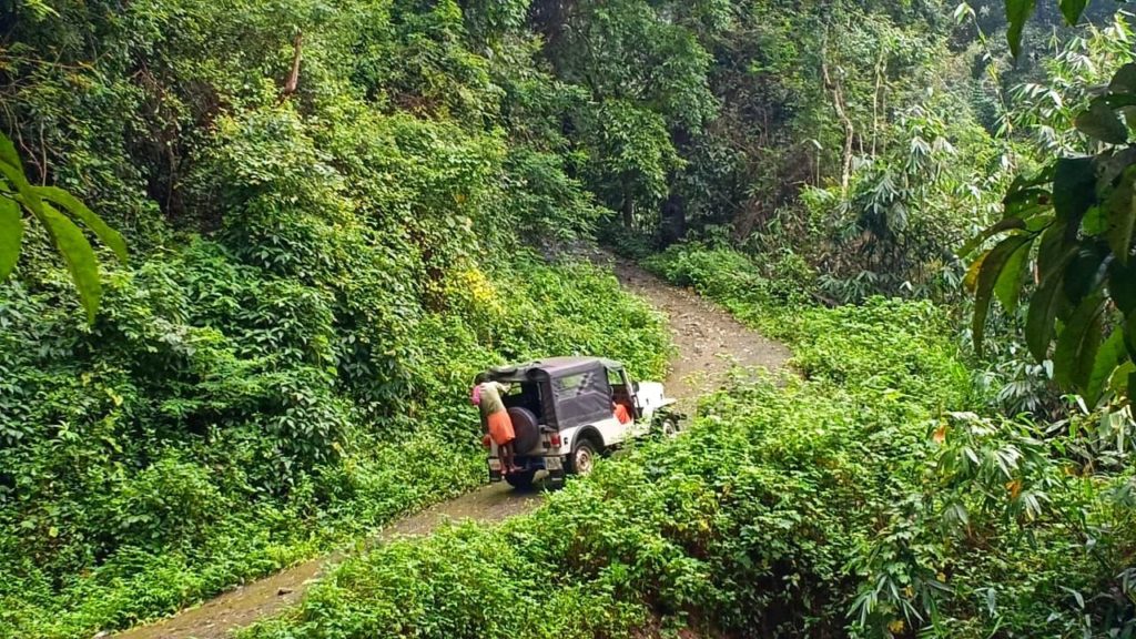 Kerala flood relief work - coscious living center